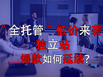 全托管低價來襲，獨立站爆款如何延續(xù)？